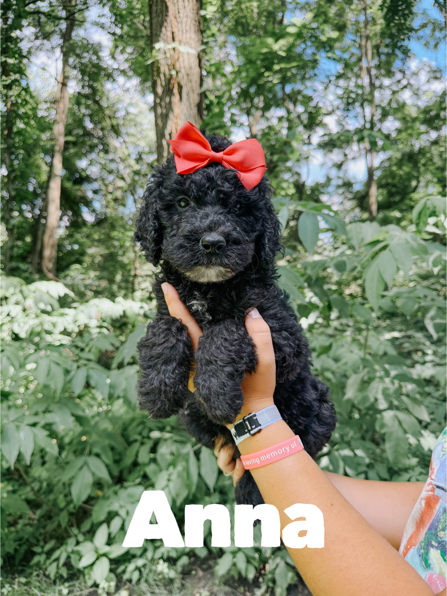 Anna 1